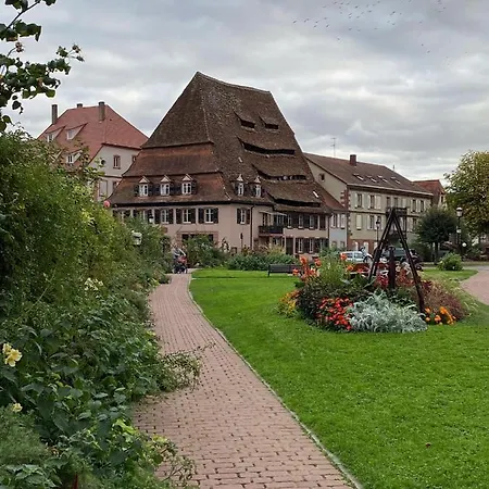 Studio Moderne Tout Equipe Wifi - Parking Gratuit - Proche De La Nature Wissembourg Exterior foto