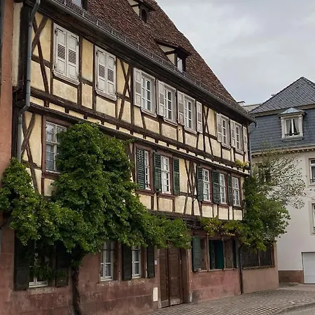 Studio Moderne Tout Equipe Wifi - Parking Gratuit - Proche De La Nature Wissembourg Exterior foto