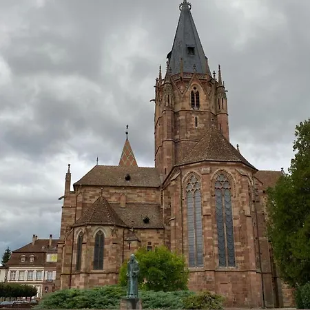 Studio Moderne Tout Equipe Wifi - Parking Gratuit - Proche De La Nature Wissembourg Exterior foto