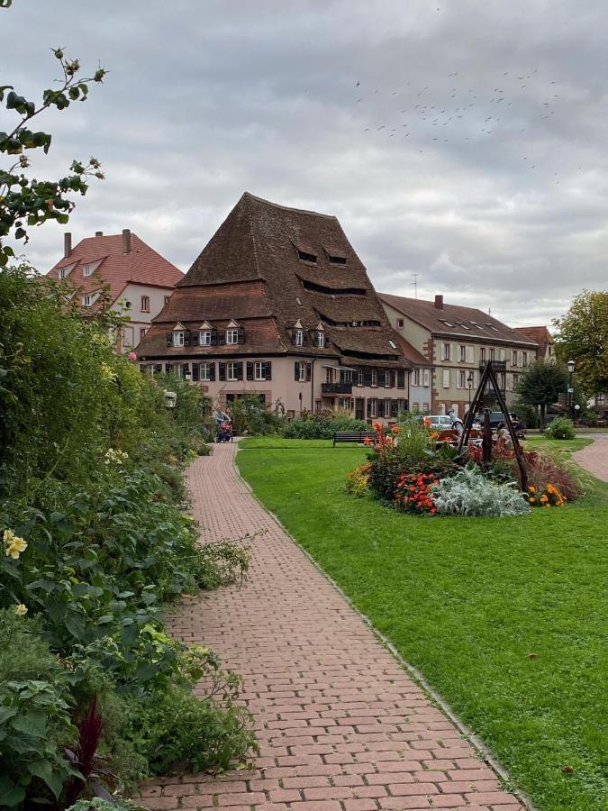 Moderne Equipe Wifi - Parking Gratuit - Proche De La Nature Wissembourg
