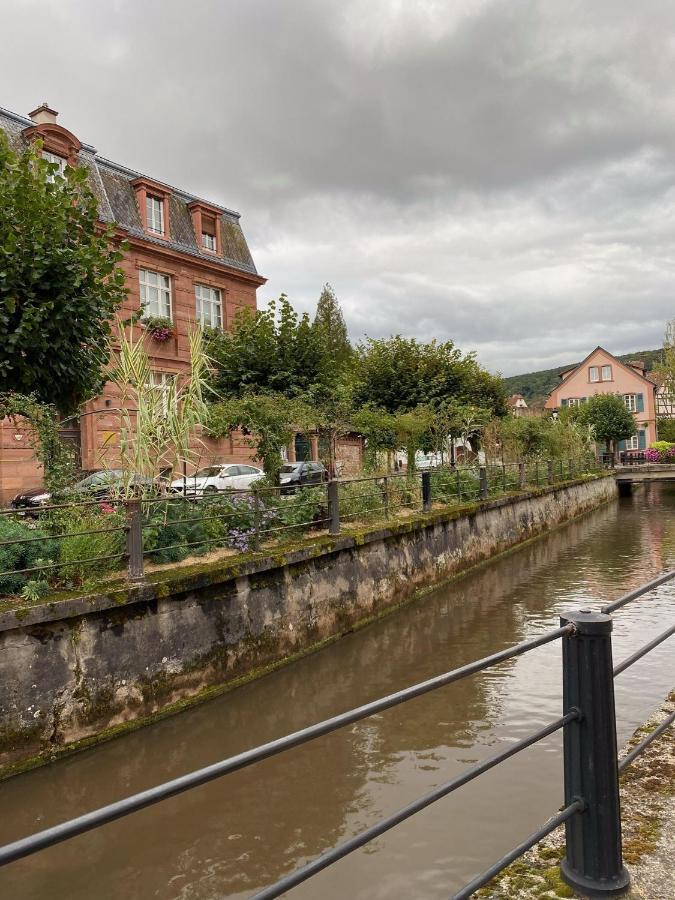 Moderne Equipe Wifi - Parking Gratuit - Proche De La Nature * Wissembourg