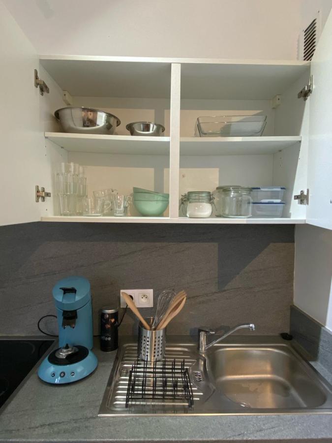 Apartment Moderne Equipe Wifi - Parking Gratuit - Proche De La Nature Wissembourg