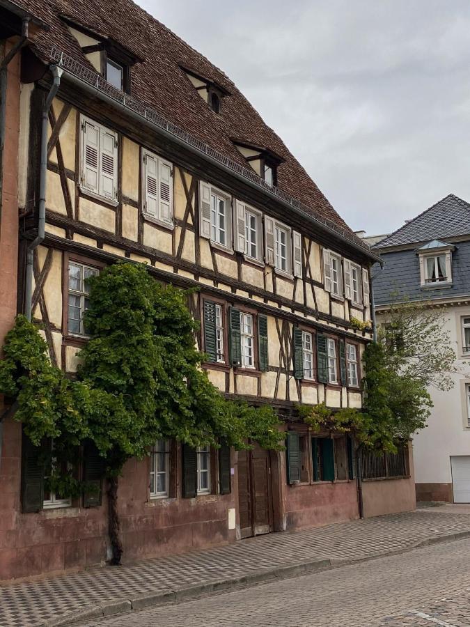Moderne Equipe Wifi - Parking Gratuit - Proche De La Nature