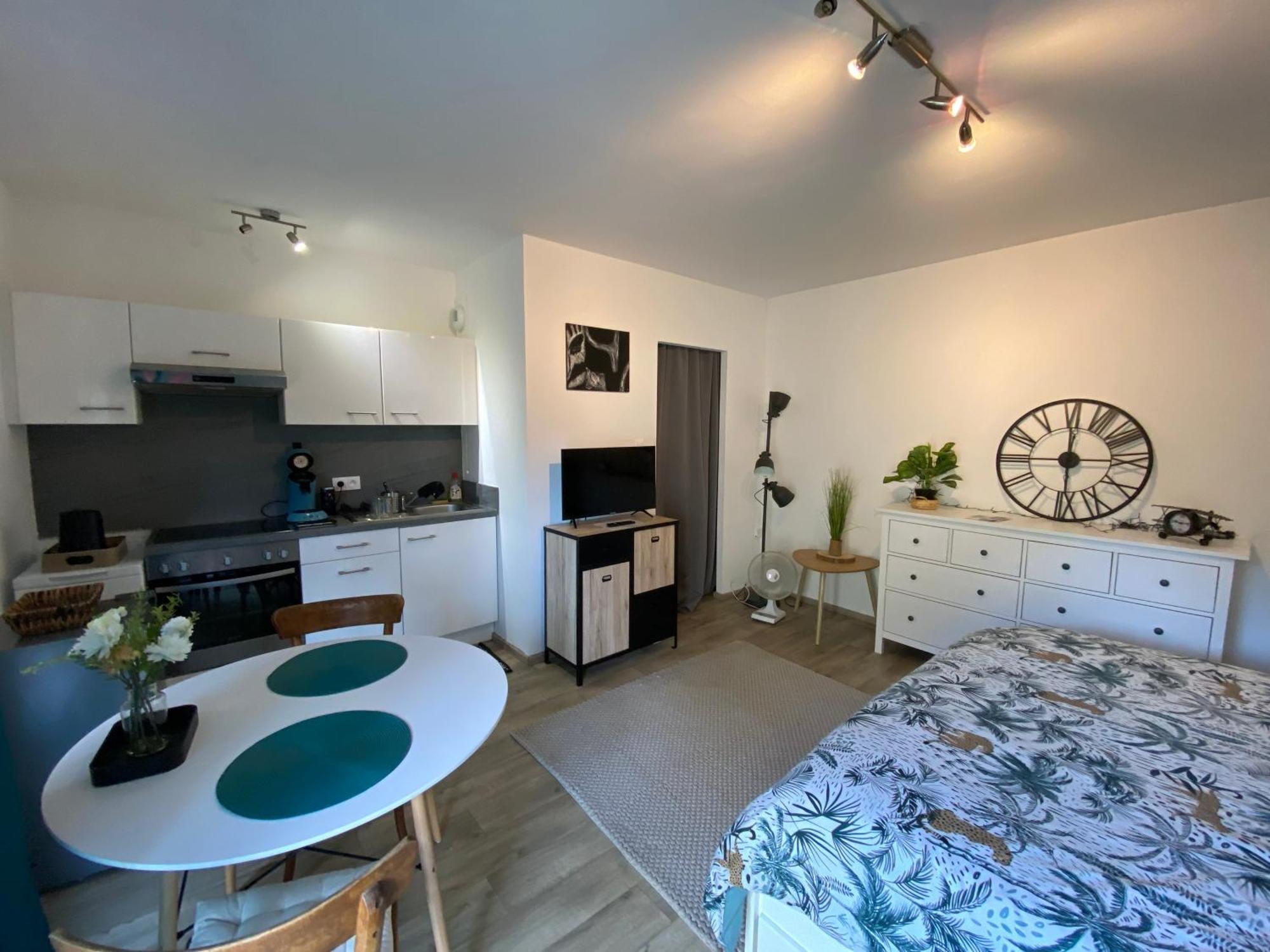 Moderne Equipe Wifi - Parking Gratuit - Proche De La Nature Apartment Wissembourg