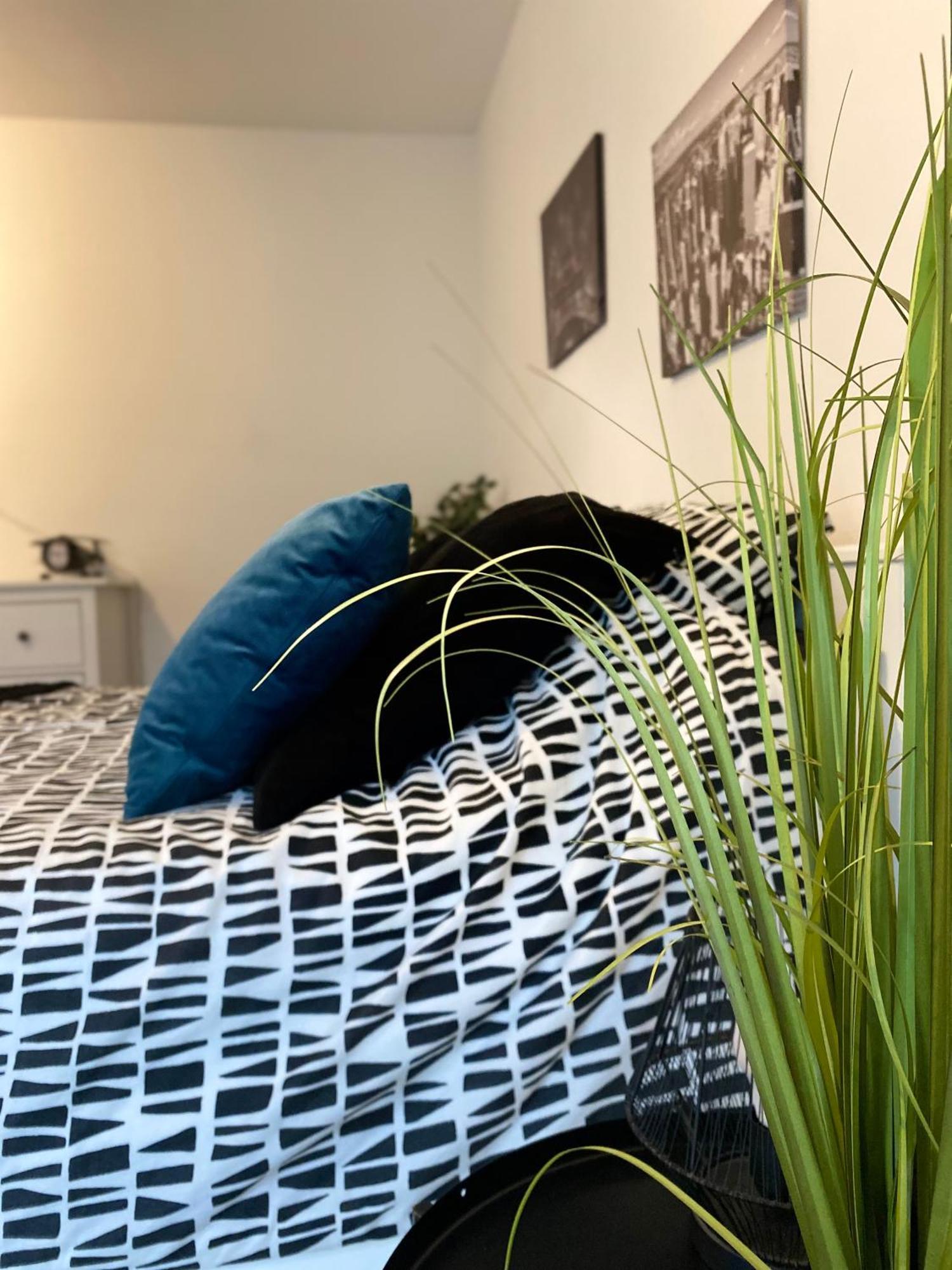Apartment Moderne Equipe Wifi - Parking Gratuit - Proche De La Nature Wissembourg